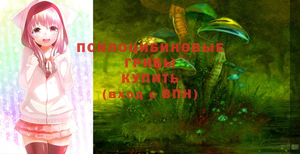 не бодяженный Алзамай