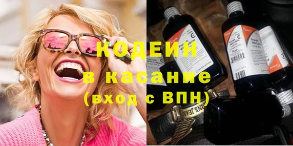 шишки Аркадак