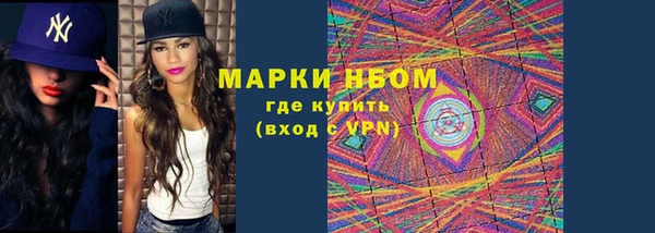шишки Аркадак