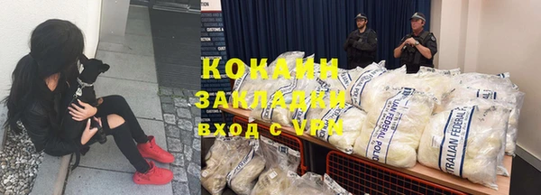 шишки Аркадак