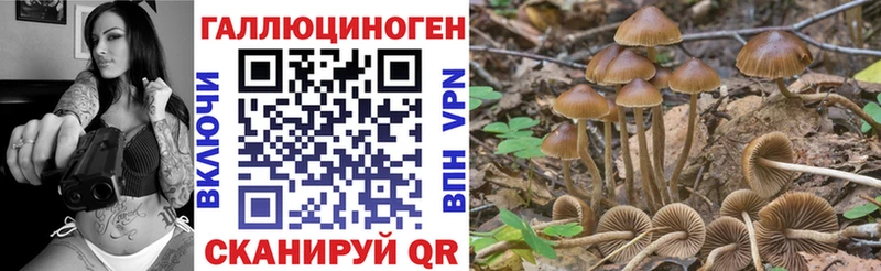 Псилоцибиновые грибы Cubensis  Лобня 