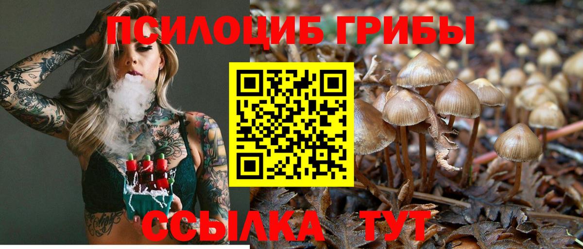 Псилоцибиновые грибы Psilocybe Лобня